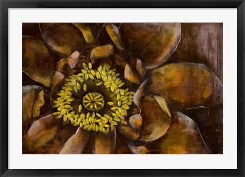 Framed Floral Illusion I Print