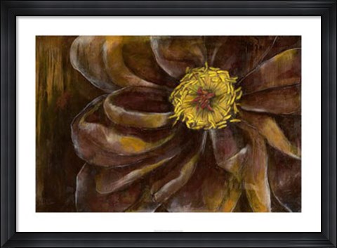 Framed Floral Illusion II Print