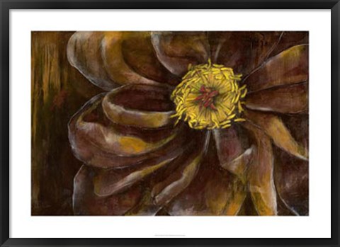 Framed Floral Illusion II Print