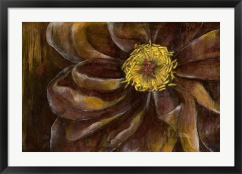 Framed Floral Illusion II Print