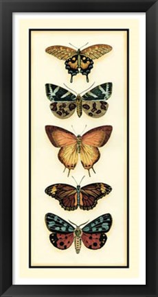 Framed Butterfly Collector V Print