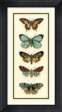 Framed Butterfly Collector VI Print