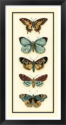 Framed Butterfly Collector VI Print
