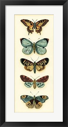 Framed Butterfly Collector VI Print