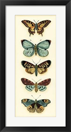 Framed Butterfly Collector VI Print