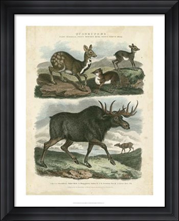 Framed Deer &amp; Moose Print