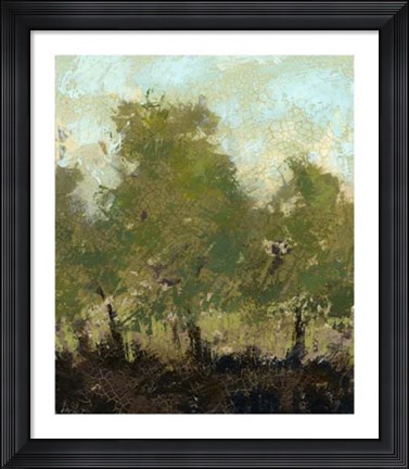 Framed Meadow Abstract I Print