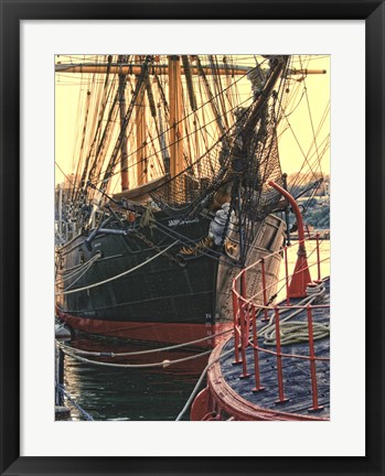 Framed Tall Ships in Darling Harbour Print