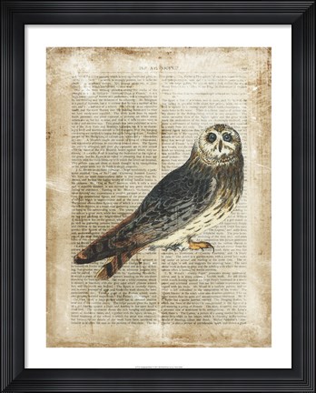 Framed Antiquarian Birds I Print