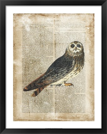 Framed Antiquarian Birds I Print