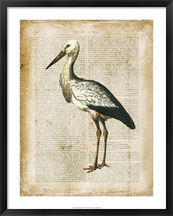 Framed Antiquarian Birds II Print