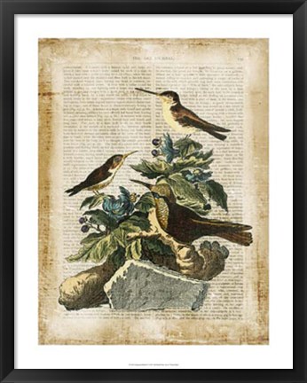 Framed Antiquarian Birds IV Print