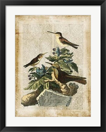 Framed Antiquarian Birds IV Print