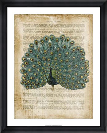 Framed Antiquarian Birds V Print