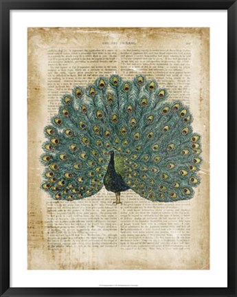 Framed Antiquarian Birds V Print
