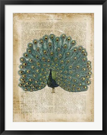 Framed Antiquarian Birds V Print