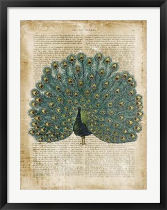 Framed Antiquarian Birds V Print