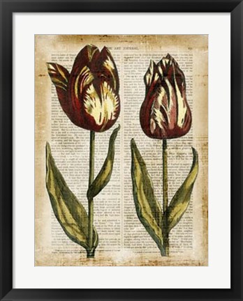 Framed Antiquarian Tulips III Print
