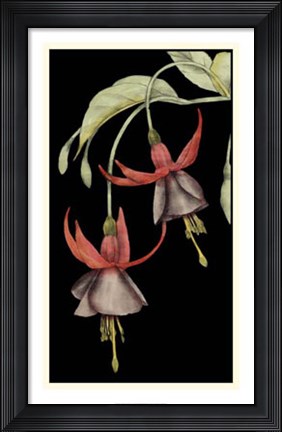 Framed Graphic Fuchsia V Print
