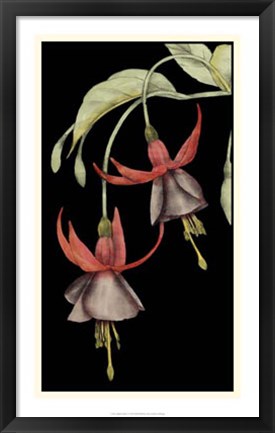 Framed Graphic Fuchsia V Print
