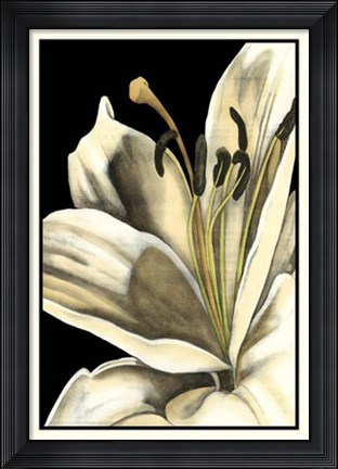 Framed Graphic Lily III Print