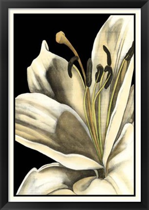 Framed Graphic Lily III Print