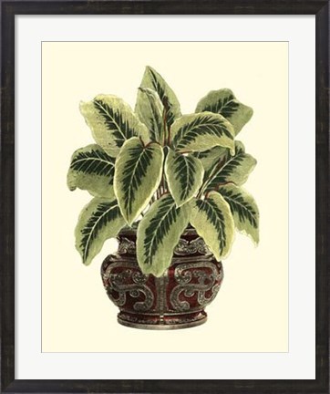 Framed Lush Foliage in Urn I Print