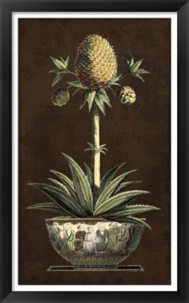 Framed Potted Pineapple I Print