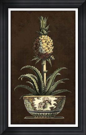 Framed Potted Pineapple II Print