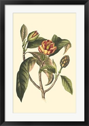 Framed Flourishing Foliage I Print