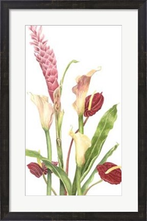 Framed Tropical Bouquet I Print