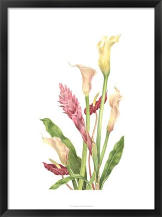 Framed Tropical Bouquet II Print