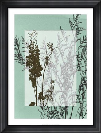 Framed Translucent Wildflowers I Print