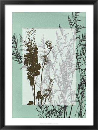 Framed Translucent Wildflowers I Print