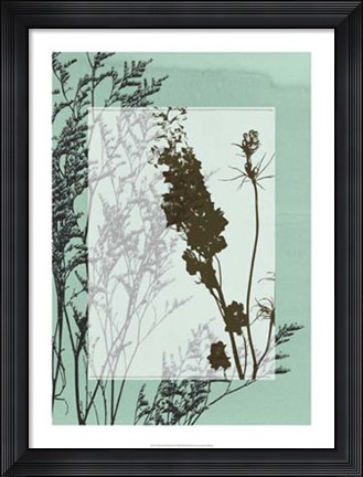 Framed Translucent Wildflowers II Print