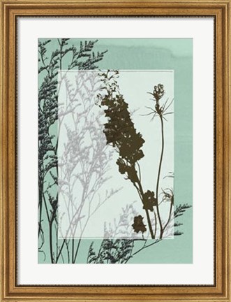 Framed Translucent Wildflowers II Print