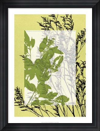 Framed Translucent Wildflowers III Print