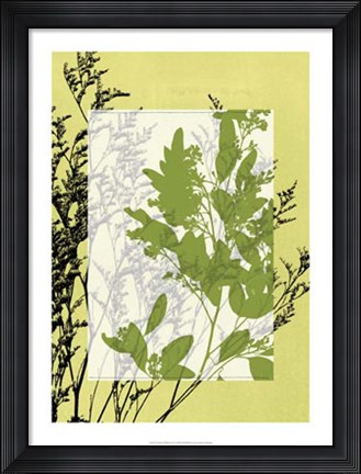 Framed Translucent Wildflowers IV Print