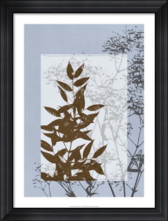 Framed Translucent Wildflowers V Print