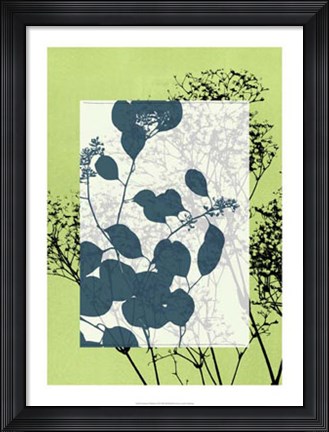 Framed Translucent Wildflowers VII Print