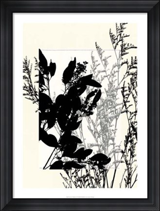 Framed Translucent Wildflowers IX Print