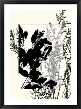 Framed Translucent Wildflowers IX Print