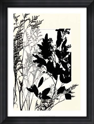 Framed Translucent Wildflowers X Print