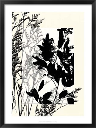 Framed Translucent Wildflowers X Print