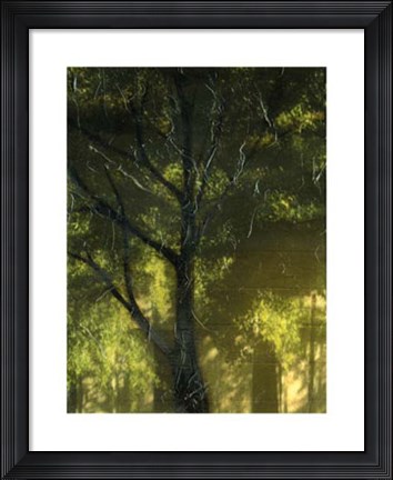 Framed Shaded Reflection I Print