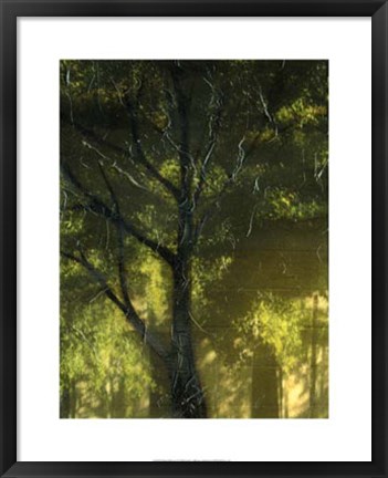 Framed Shaded Reflection I Print