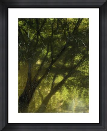 Framed Shaded Reflection II Print