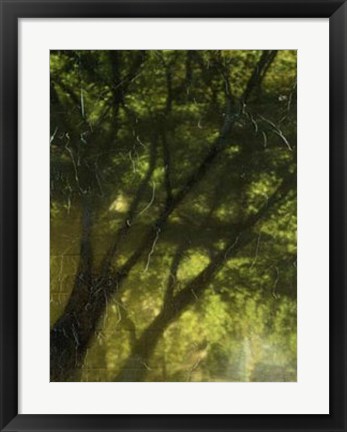 Framed Shaded Reflection II Print