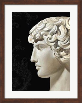 Framed Adonis Print