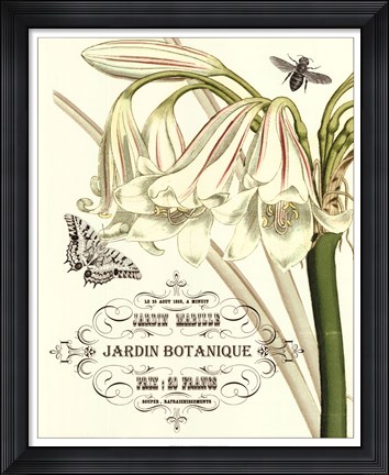 Framed Jardin Botanique I Print